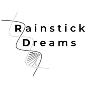 The Rainstick Dreams logo features bold black text reading "Rainstick Dreams," with a curved gray line resembling a twisted strand running through the design. The logo uses a minimalist black, white, and gray color scheme.